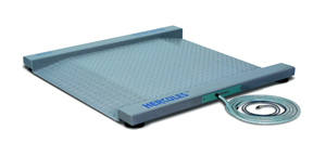 Платформенные весы CAS HERCULES R-600