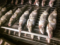 Подбор рецептур на фабрике-кухне сети "Азбука Вкуса" Подбор рецептур на фабрике-кухне сети "Азбука Вкуса"