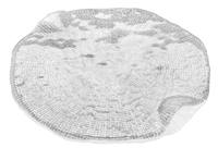 Тарелка для сыра DIAMANTE прозрачная 32см 6247.1