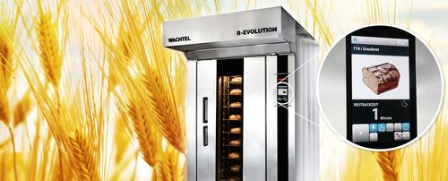 R-EVOLUTION